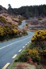 Irish Landscapes (2)
